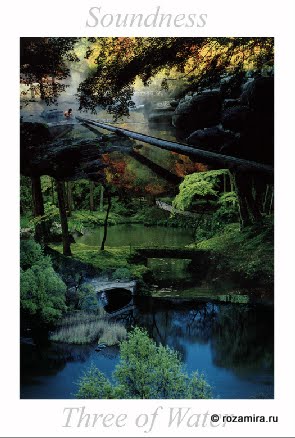 Nature Tarot by Jan Strube